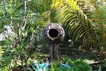 Sandies Bathala Maldives Bathala Island エクステリア 写真